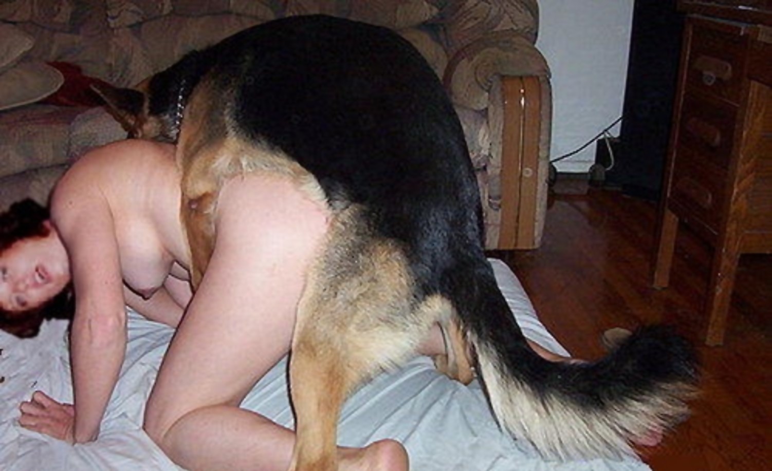 порно пес с бабой фото 47