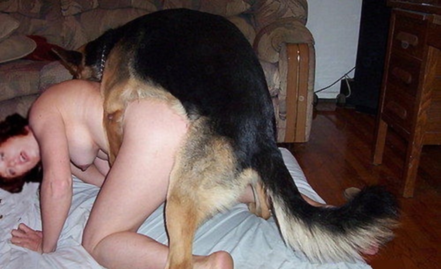 Mature women sex with dogs